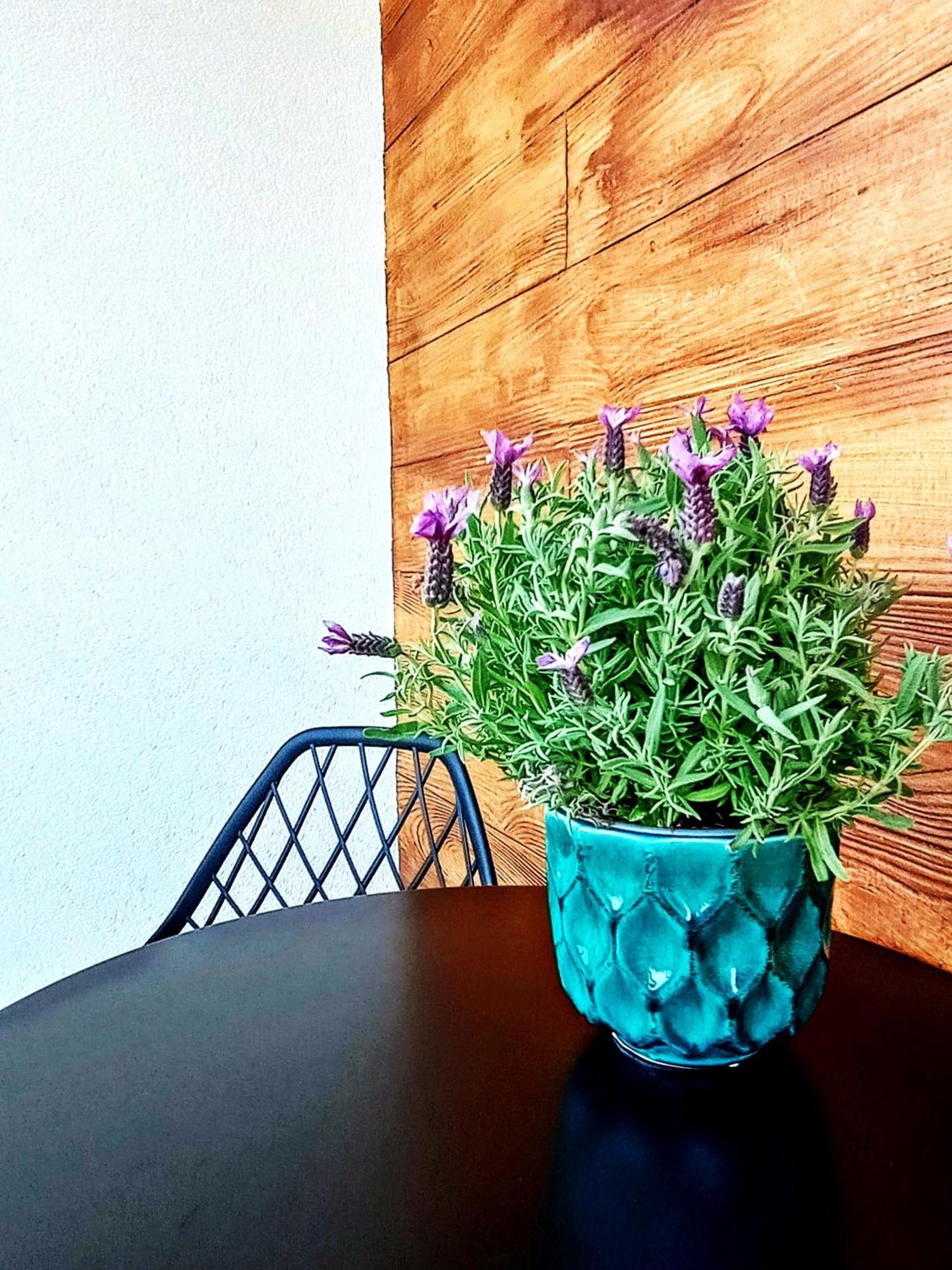 Apartment San Osiedle W Dolinie Sanu Lesko